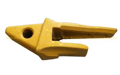 Teeth Root & Adapter